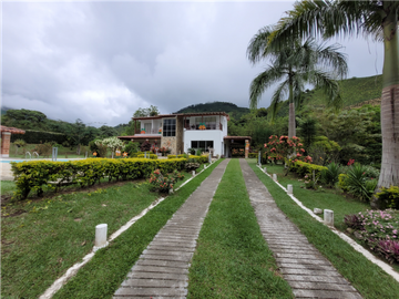 place photo 47