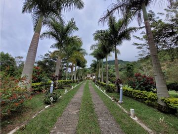 place photo 64