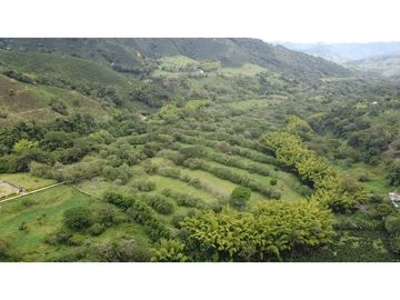 place photo 50