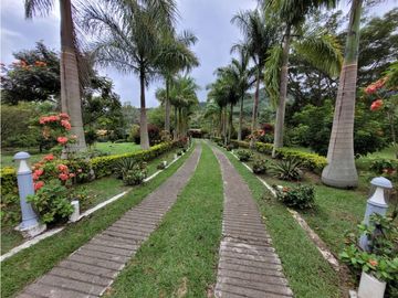 place photo 61