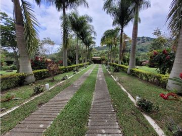 place photo 57