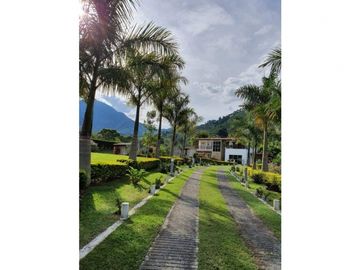 place photo 66