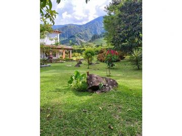place photo 68