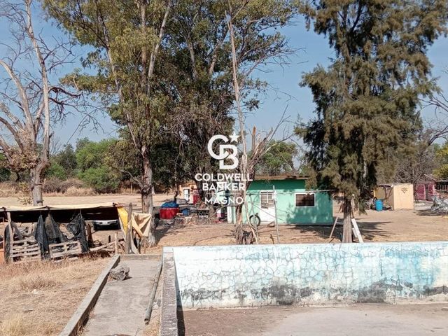 place photo 38