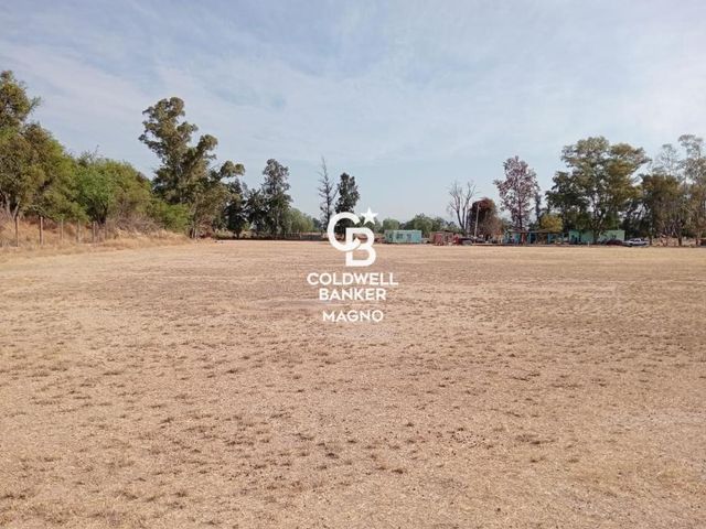 place photo 36
