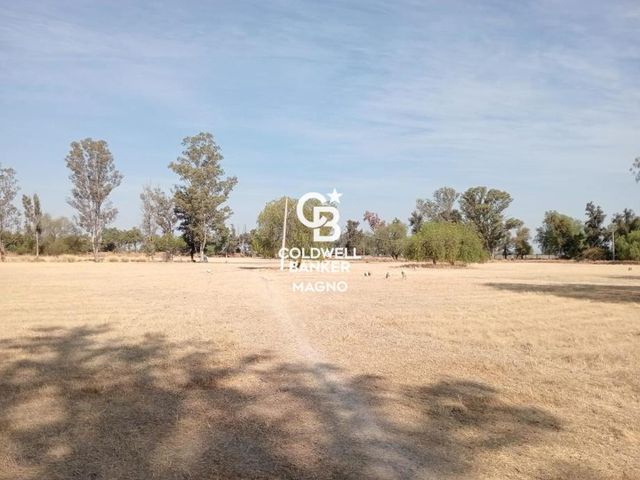 place photo 28