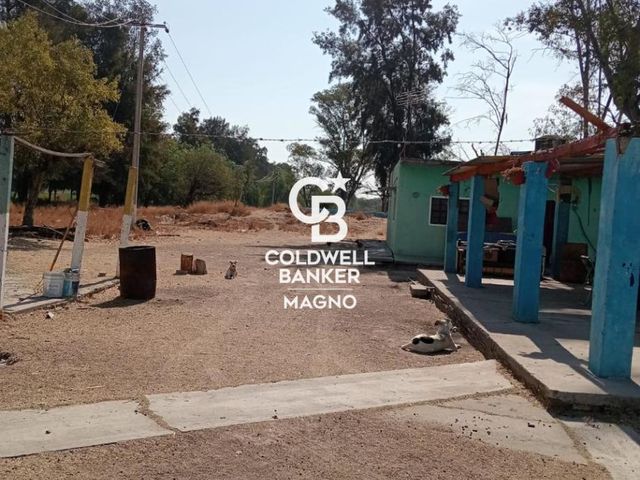 place photo 26