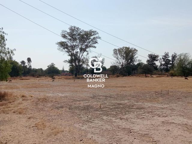 place photo 33