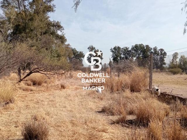 place photo 43