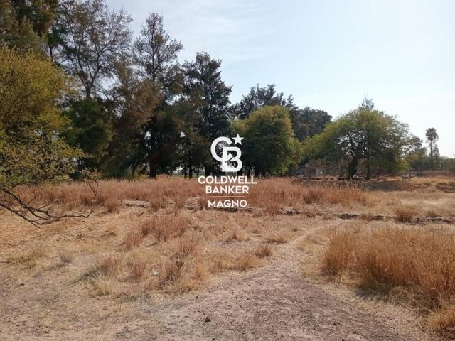 place photo 31