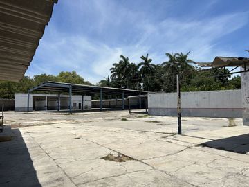 place photo 18