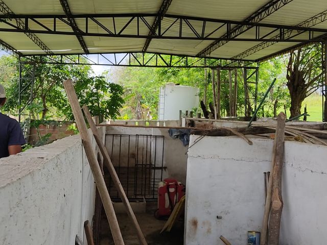 place photo 23