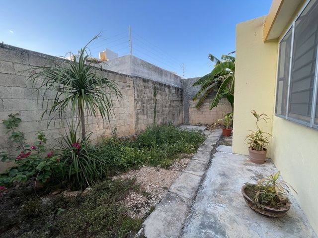 place photo 38