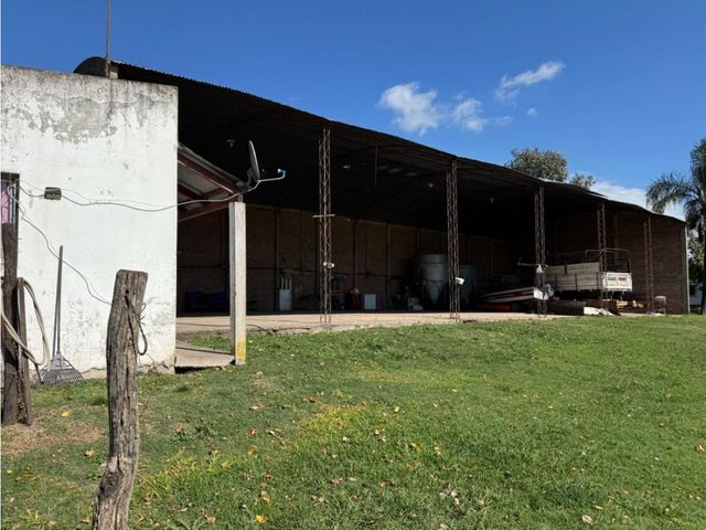 place photo 16