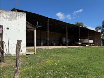 place photo 16