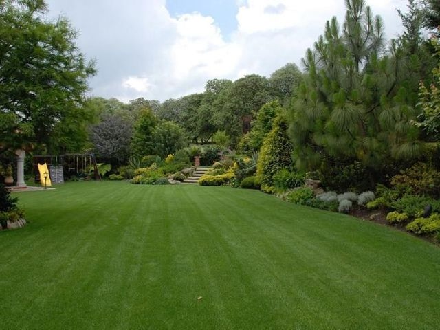 place photo 20