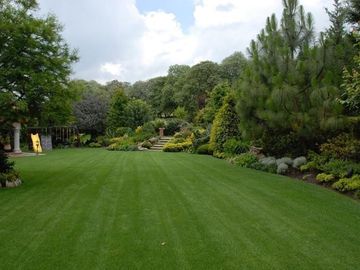 place photo 20