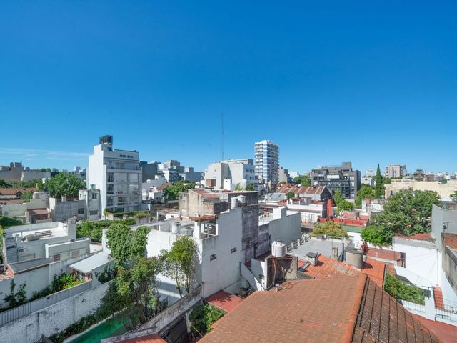 place photo 22