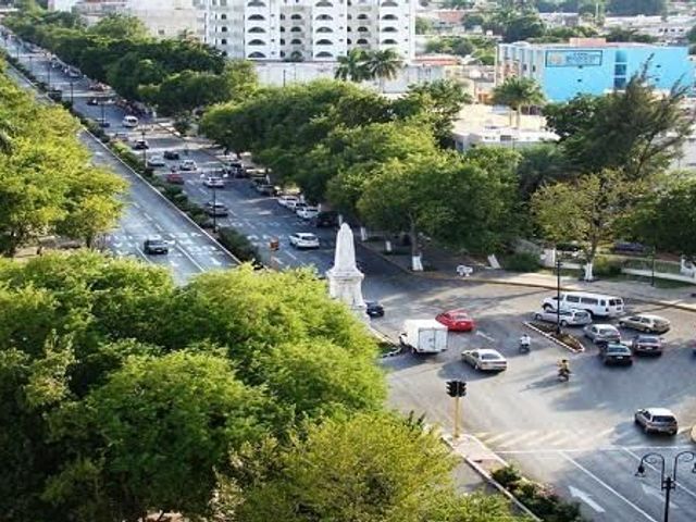 place photo 12