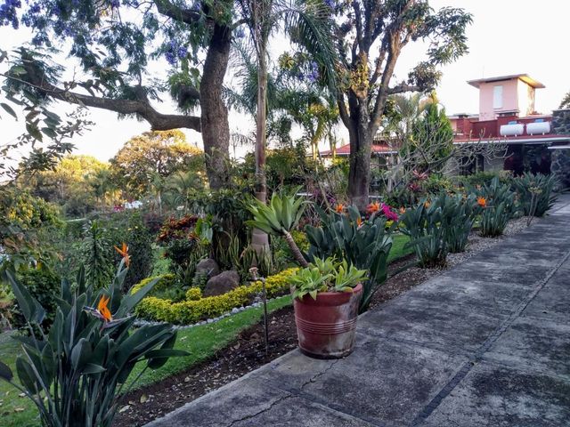 place photo 29