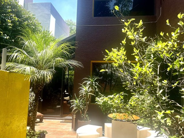place photo 40