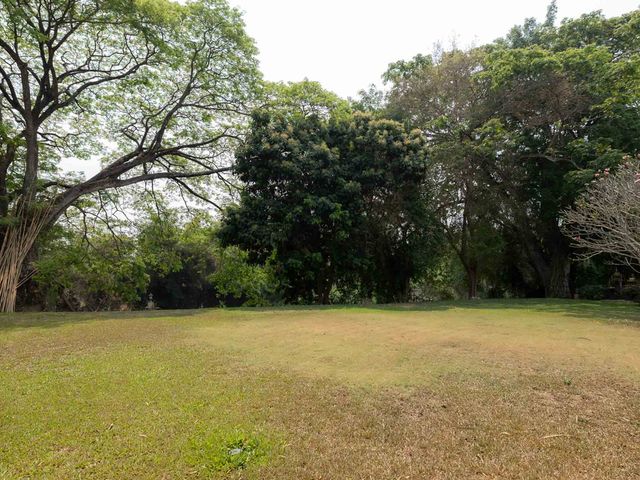 place photo 64