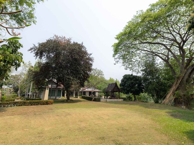 place photo 60