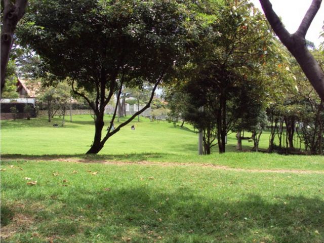 place photo 42