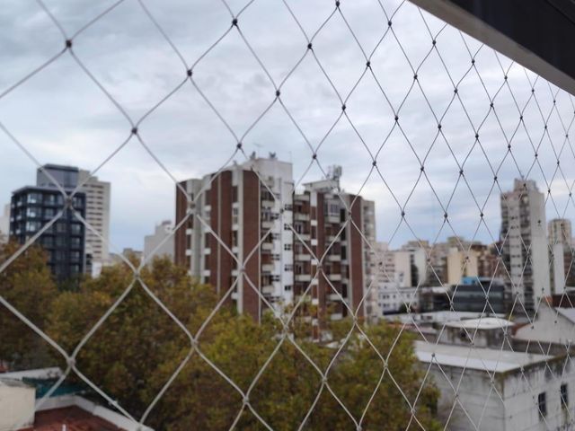 place photo 19