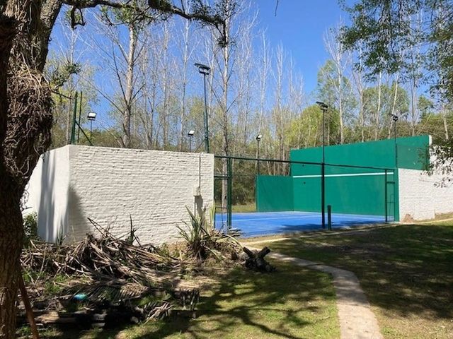 place photo 19