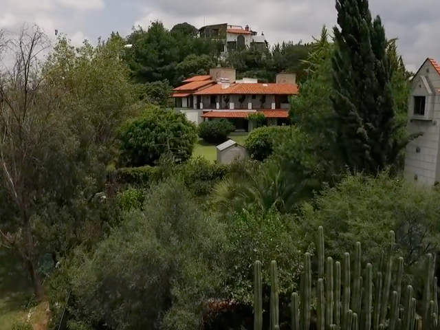place photo 34