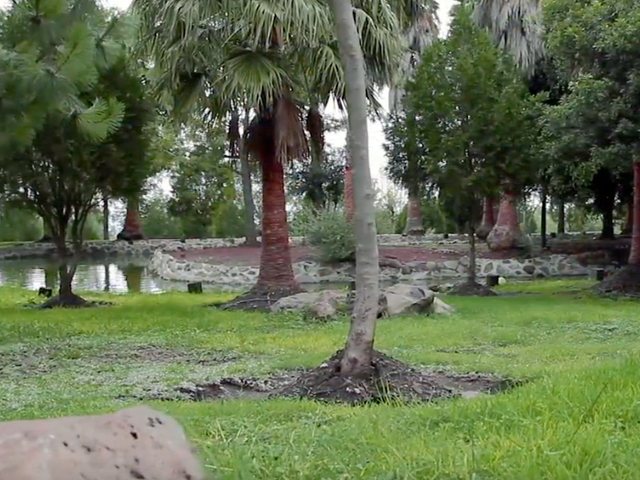 place photo 29