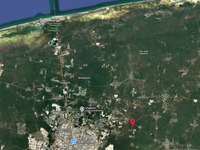 place photo 9