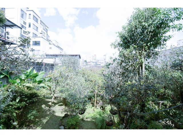 place photo 38