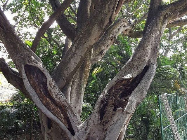 place photo 31