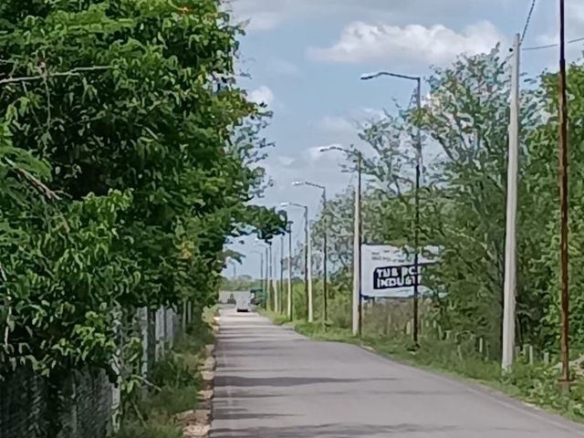 place photo 5