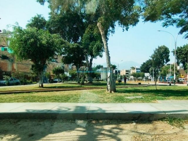 place photo 12