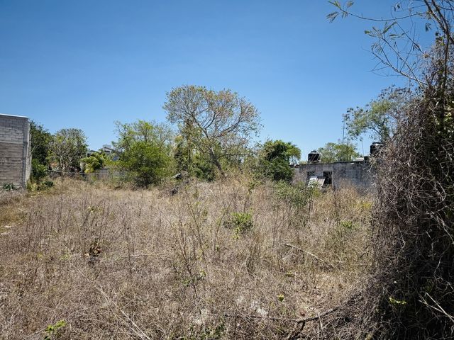 place photo 24