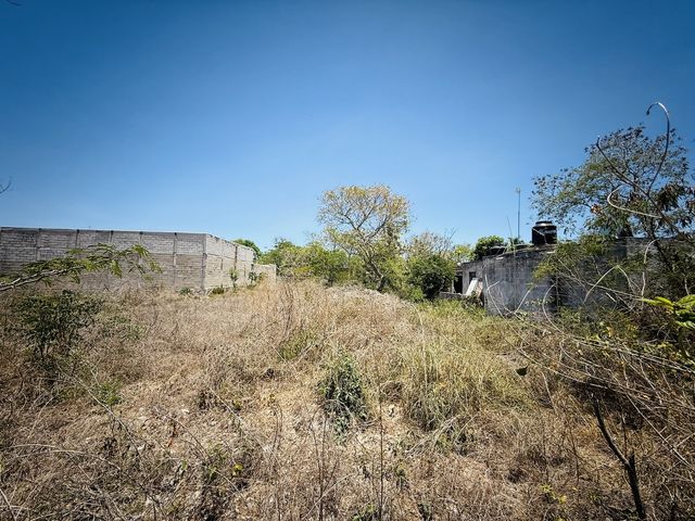 place photo 21