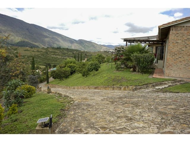 place photo 43