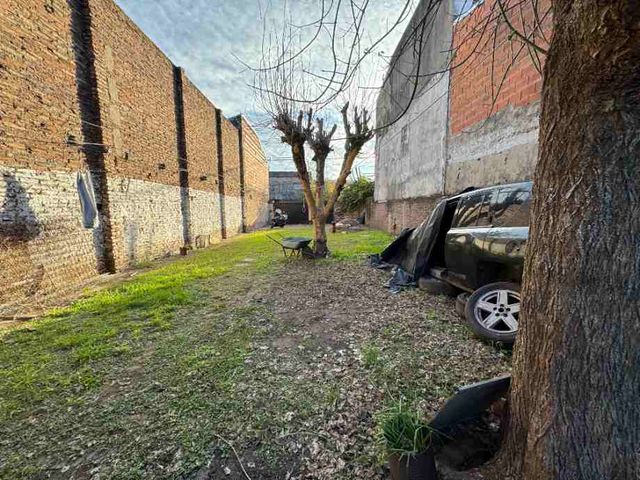 place photo 6