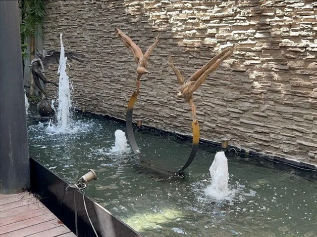 place photo 46