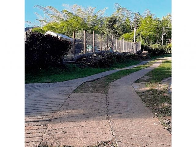 place photo 35