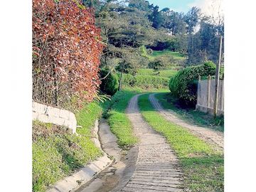place photo 38