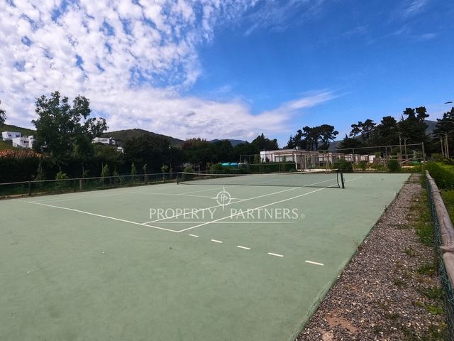 place photo 21