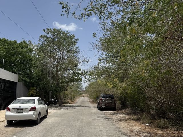 place photo 6
