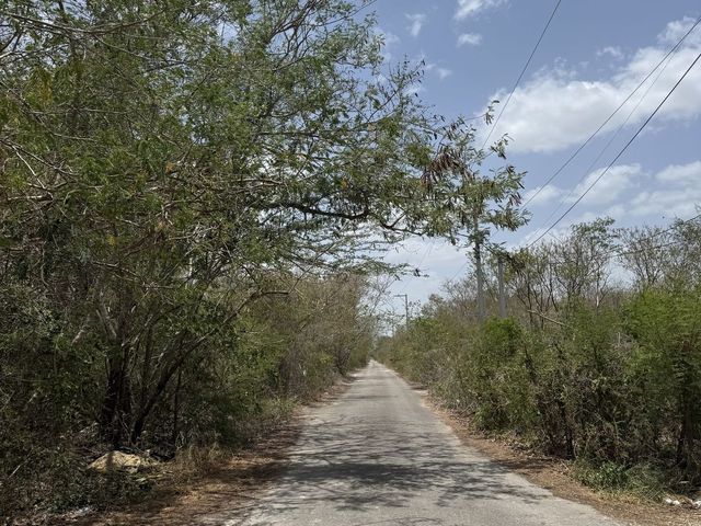 place photo 4