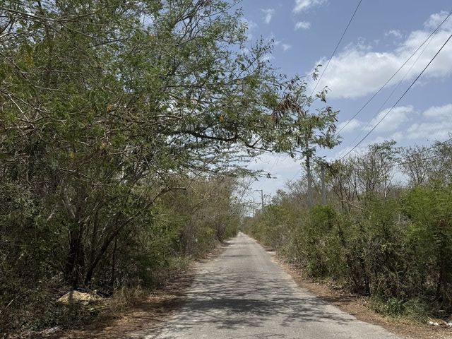 place photo 4
