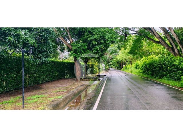 place photo 49