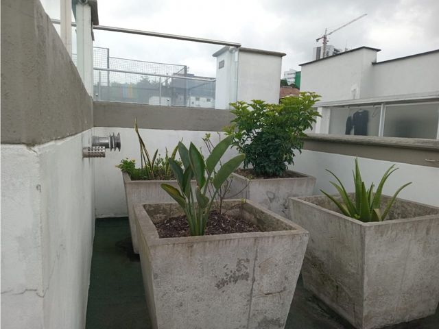 place photo 37